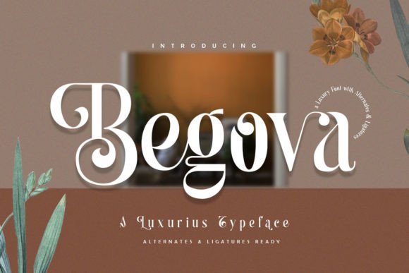 Begova: A Thoughtful Display Serif for Editorial Calm