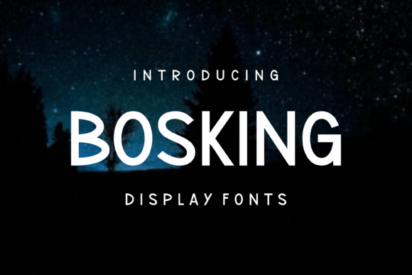 Bosking: A Display Font That Makes Your Brand Feel Intentional