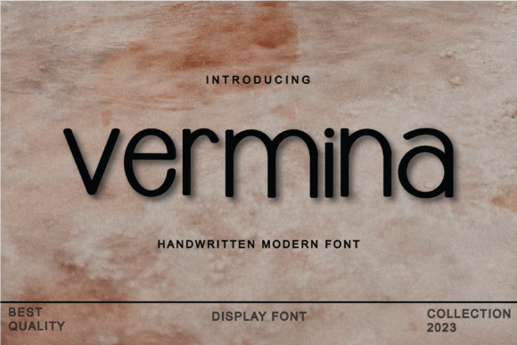 Vermina: A Display Font That Elevates Digital Branding