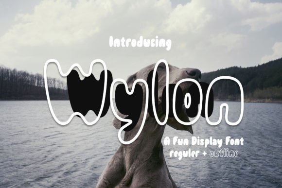 Wylon: A Cheerful Display Font for Handmade Labels & Printables